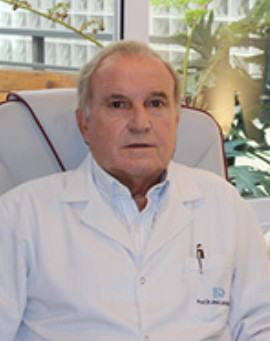 Prof. Dr. Jesús Luis Barbón